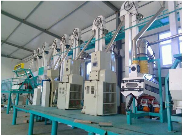 玉米加工设备自动化生产效率高